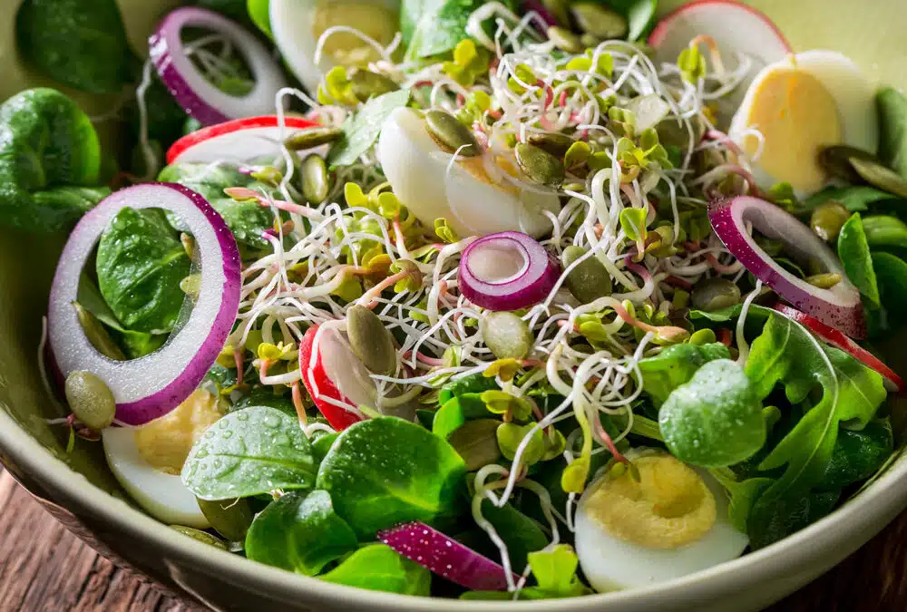 The Ultimate Taste Test: Ranking the Best Tasting Microgreens