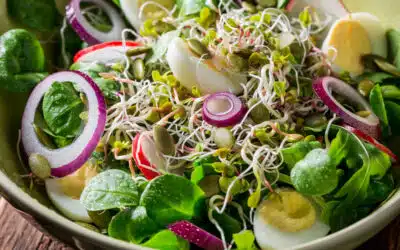 The Ultimate Taste Test: Ranking the Best Tasting Microgreens