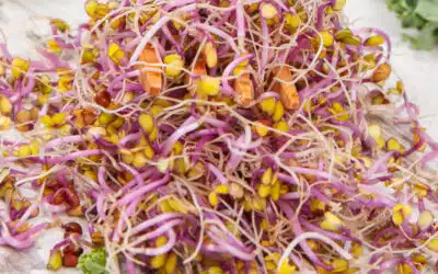 Organic Microgreens: The Secret to Healthier, More Sustainable Eating